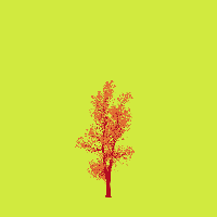 greenshift tree