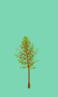 greenshift tree