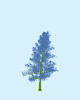 greenshift tree
