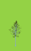 greenshift tree