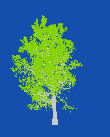 greenshift tree