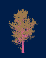 greenshift tree