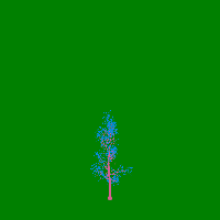 greenshift tree