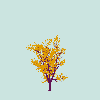 greenshift tree