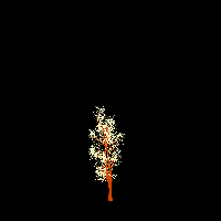 greenshift tree