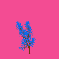 greenshift tree
