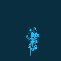 greenshift tree