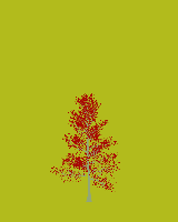 greenshift tree