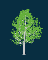 greenshift tree