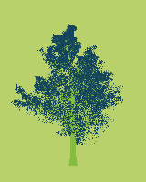 greenshift tree