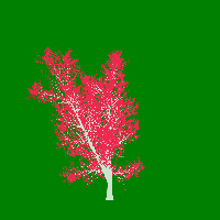 greenshift tree