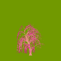 greenshift tree