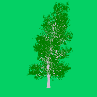 greenshift tree