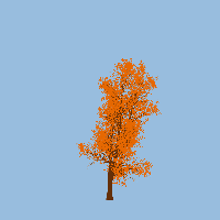 greenshift tree
