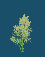 greenshift tree