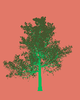 greenshift tree