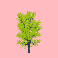 greenshift tree