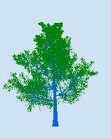 greenshift tree