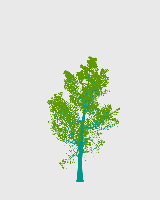 greenshift tree