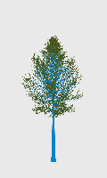 greenshift tree