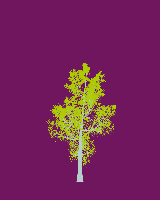 greenshift tree