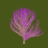 greenshift tree
