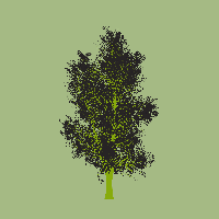 greenshift tree