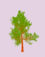 greenshift tree