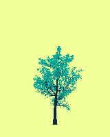 greenshift tree