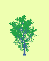 greenshift tree