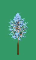 greenshift tree