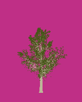 greenshift tree