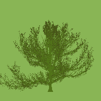 greenshift tree