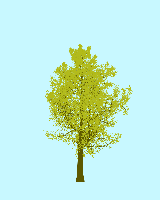 greenshift tree