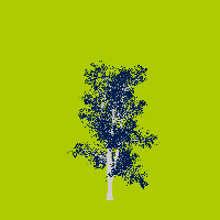 greenshift tree