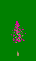 greenshift tree
