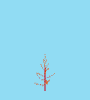 greenshift tree