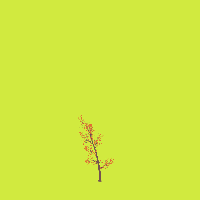 greenshift tree