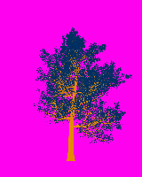 greenshift tree