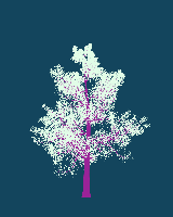 greenshift tree