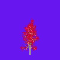 greenshift tree