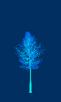 greenshift tree