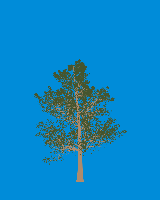 greenshift tree