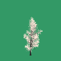 greenshift tree