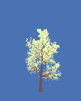 greenshift tree