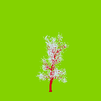 greenshift tree