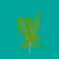 greenshift tree