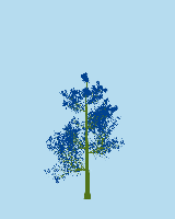 greenshift tree