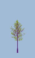 greenshift tree
