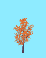 greenshift tree